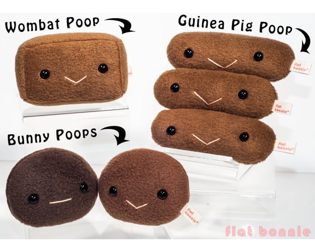 Easter Bunny Poop Plush Set, Cute Rabbit Poo, Stuffed Animal Plushie, Kawaii Poo Plush, Handmade Bunny Lover Gift Oopsie Poopsie Flat Bonnie - Etsy