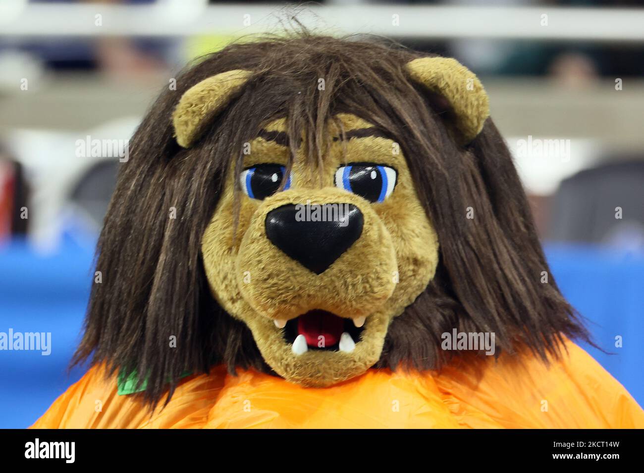 Detroit lions mascot hi-res stock photography and images - Alamy