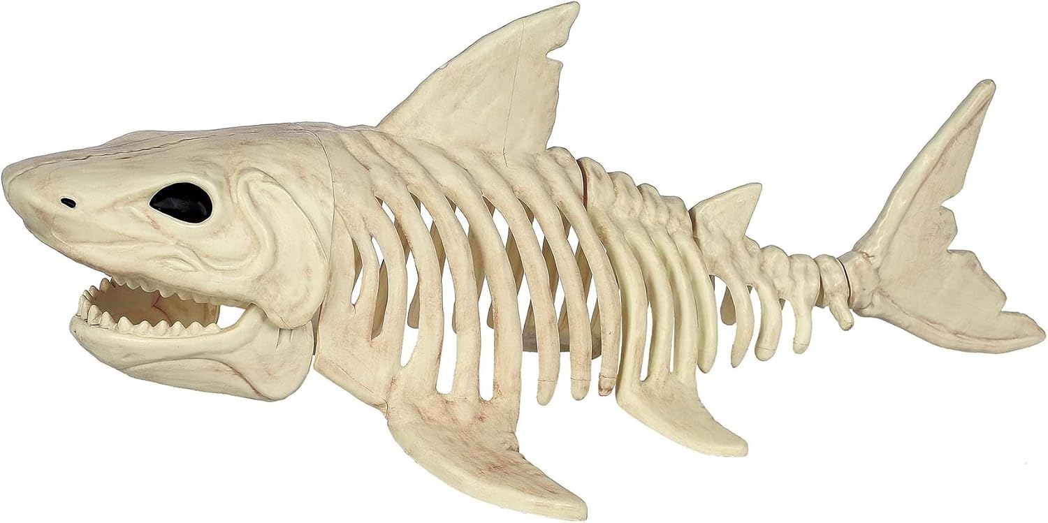 Fun Costumes - Brandclub - Fun Costumes 2FT Shark Skeleton Halloween Prop Decoration Realistic Molded Plastic Animal Skeletons