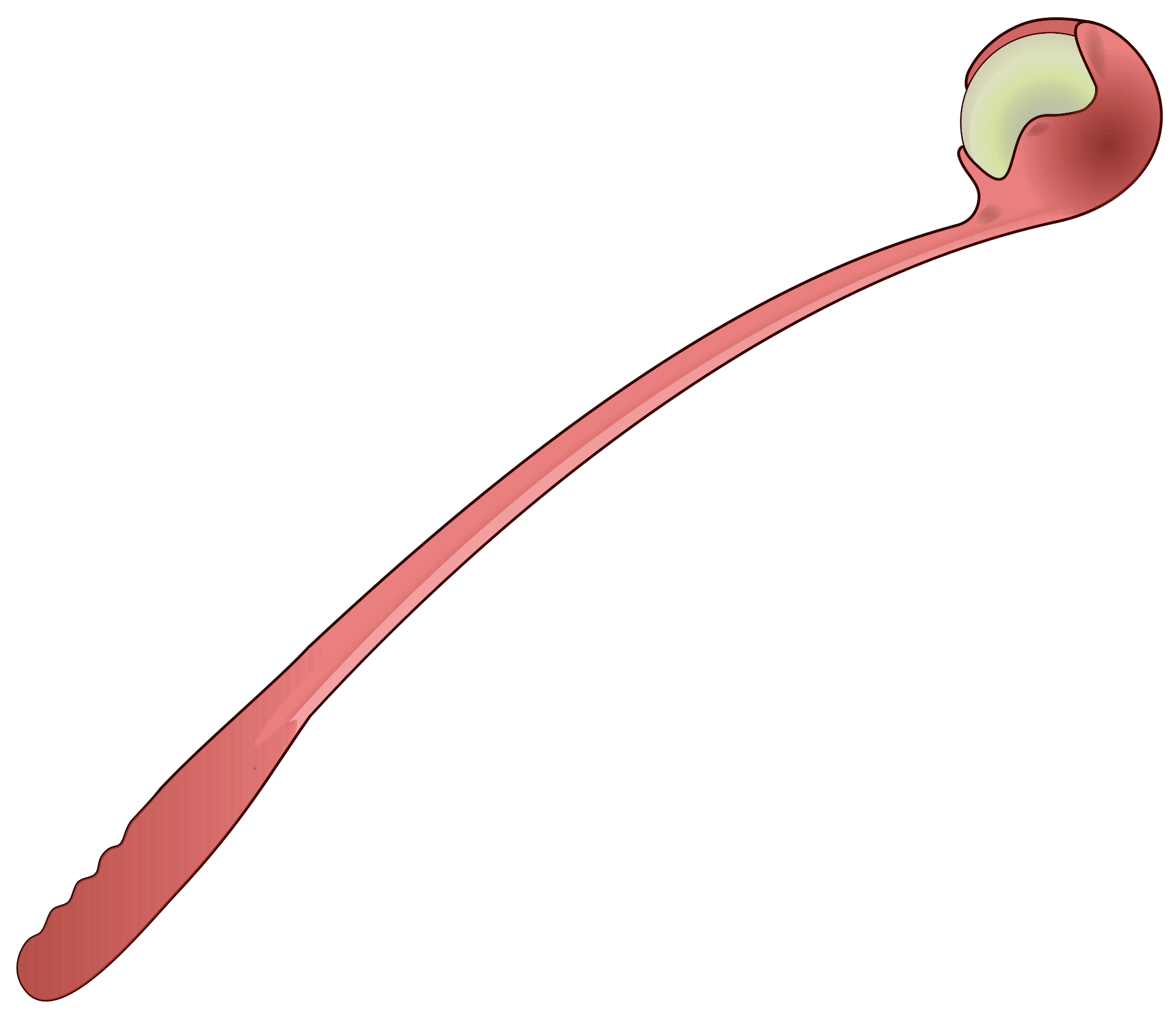 Illustrative ball launcher concept