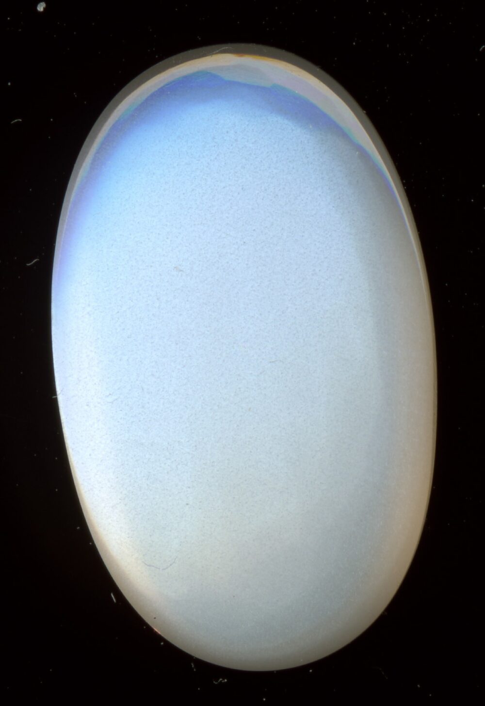 Polished moonstone cabochon showing sheen