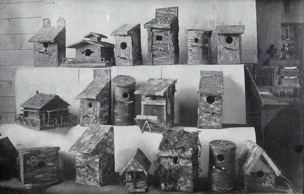 Assorted wooden bird houses hanging outdoors
