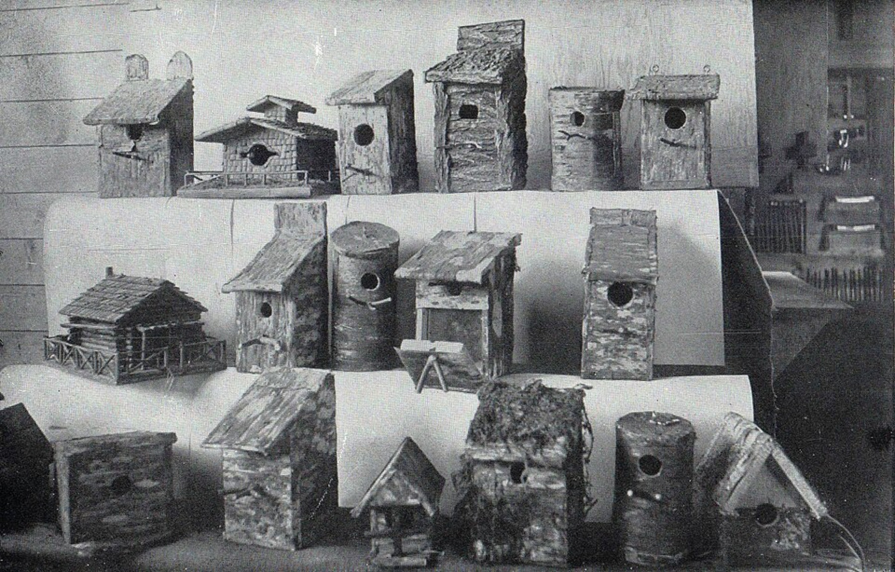Assorted wooden bird houses hanging outdoors