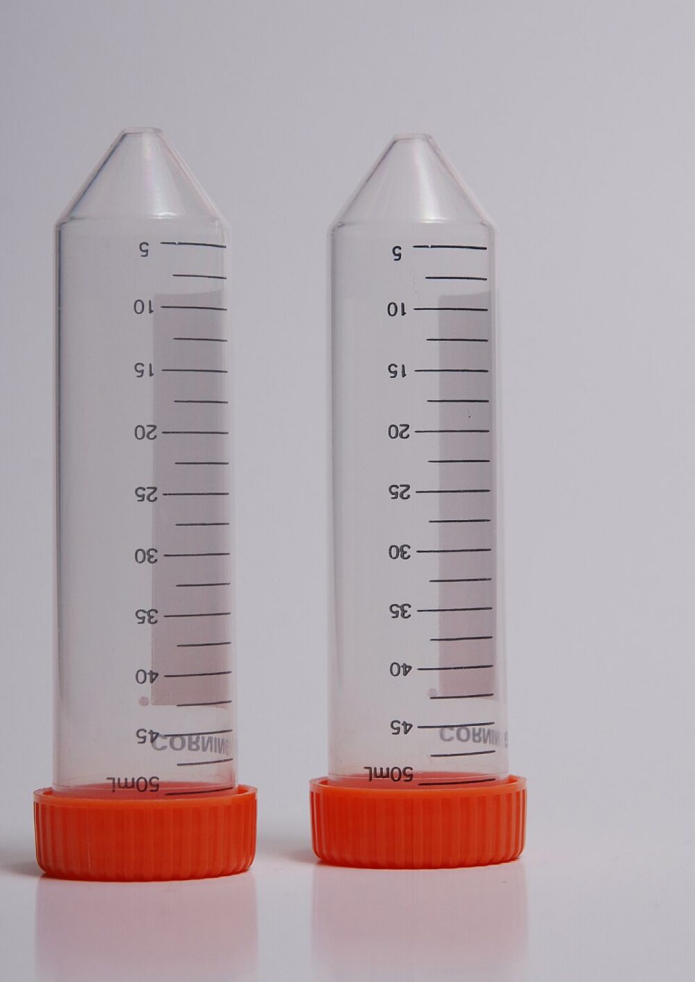 50 mL Falcon centrifuge tubes standing upright with screw caps