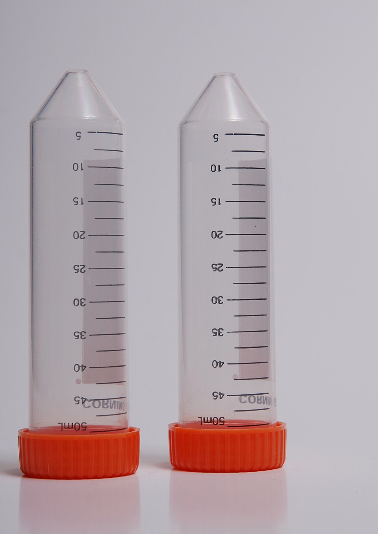 50 mL Falcon centrifuge tubes standing upright with screw caps