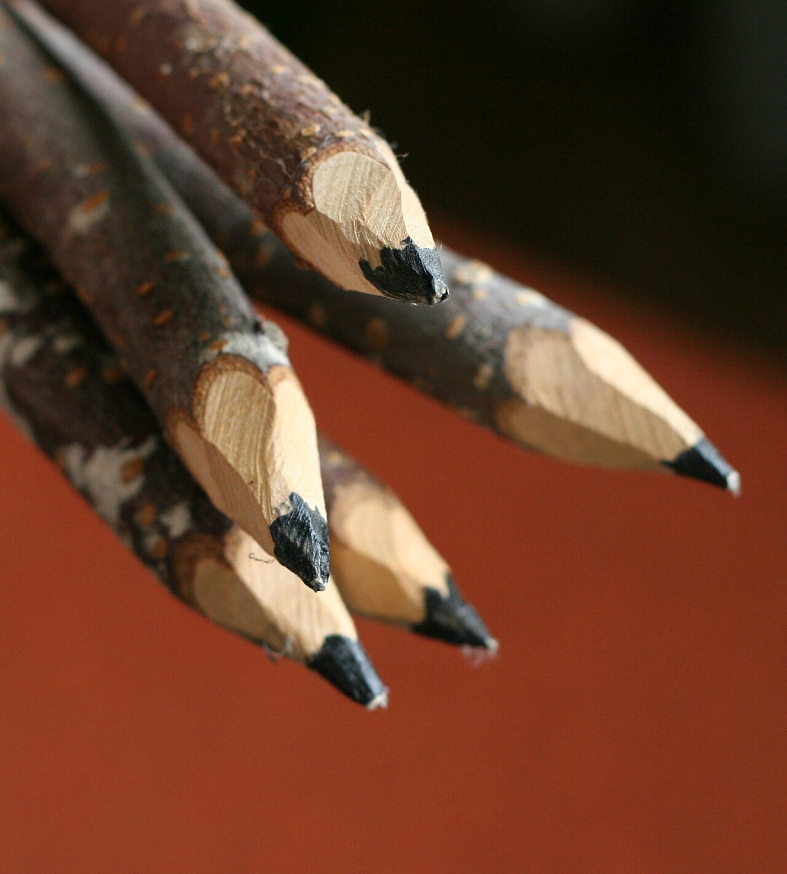 Close-up wooden pencil showing graphite core and wood grain