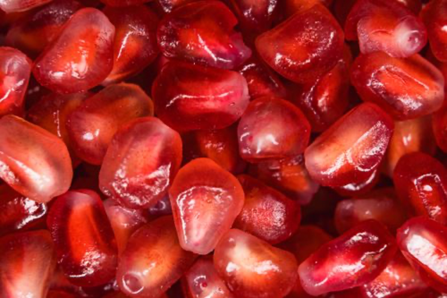 Red pomegranate seeds illustrating seed sourcing