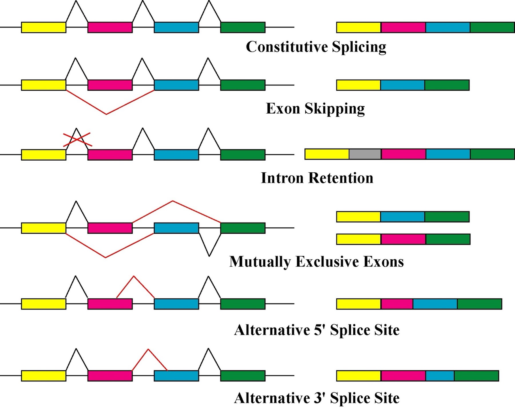 AliExpress and Temu alternatives comparison graphic