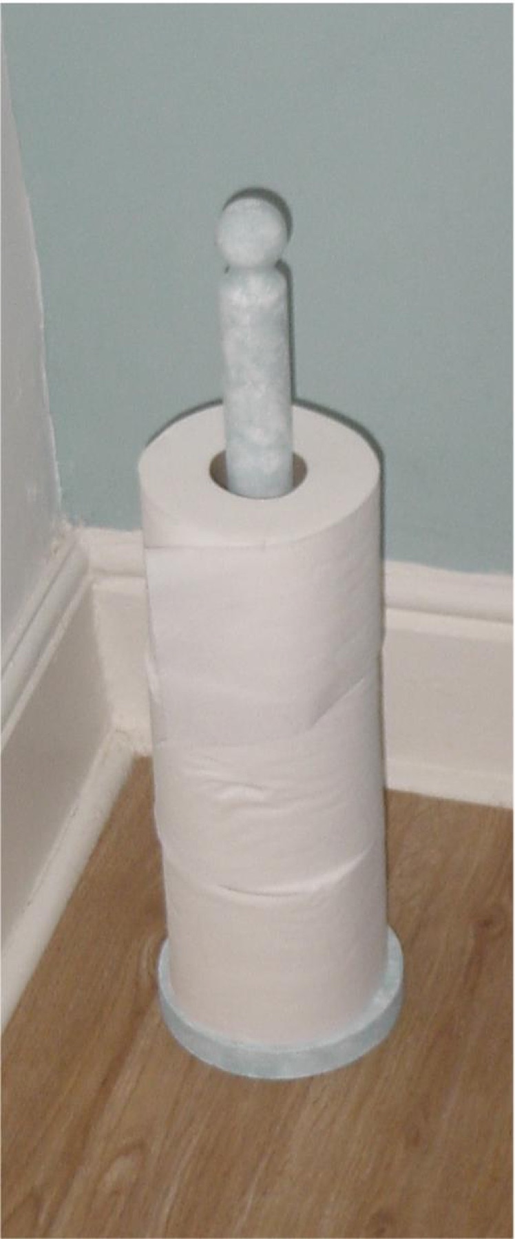 Vertical paper towel holder beside a toilet roll, showing a simple freestanding vertical design