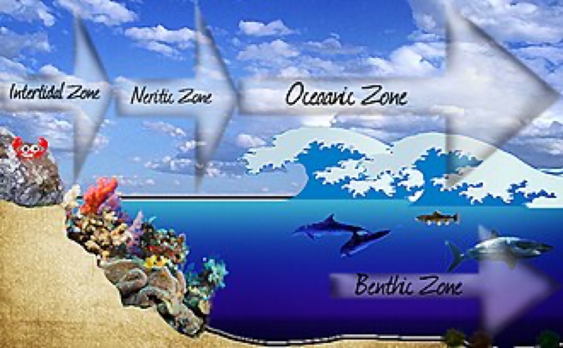 Diagram showing different ocean-related zones layered like marketplace options