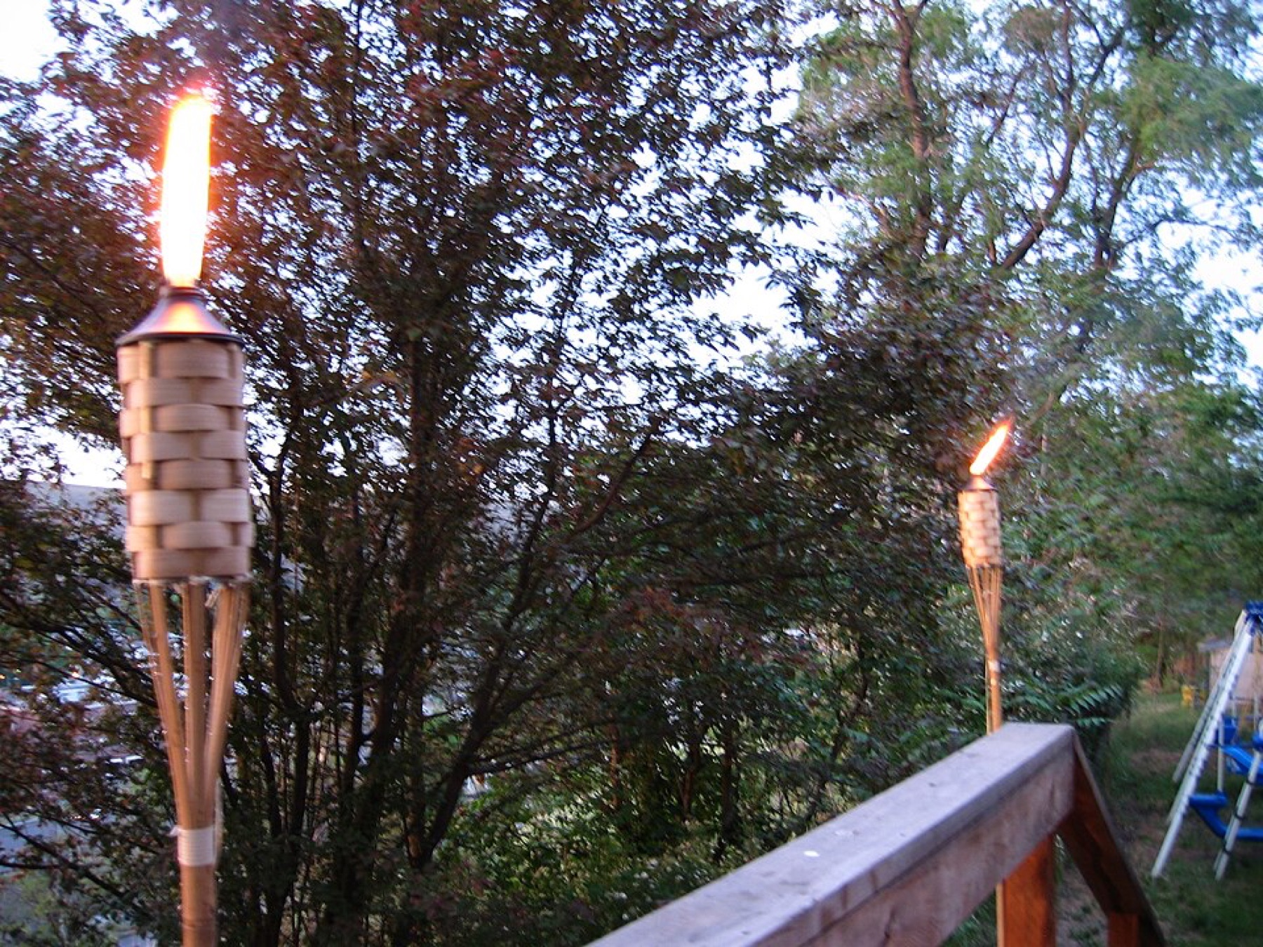 Outdoor tiki torches lit in a garden setting