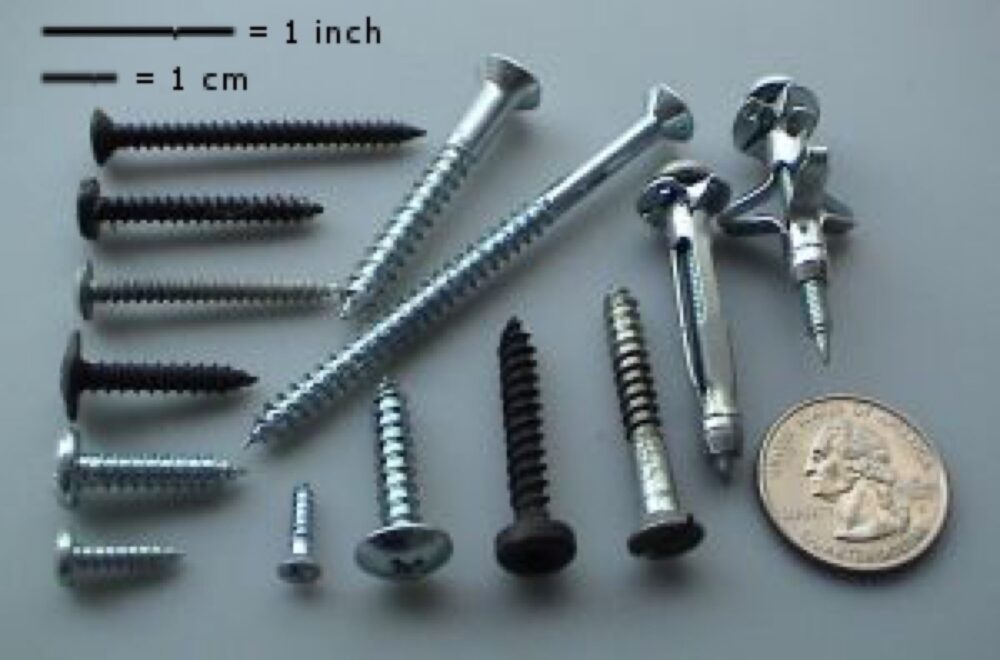 Assorted screws and bolts illustrating different sizes and head types