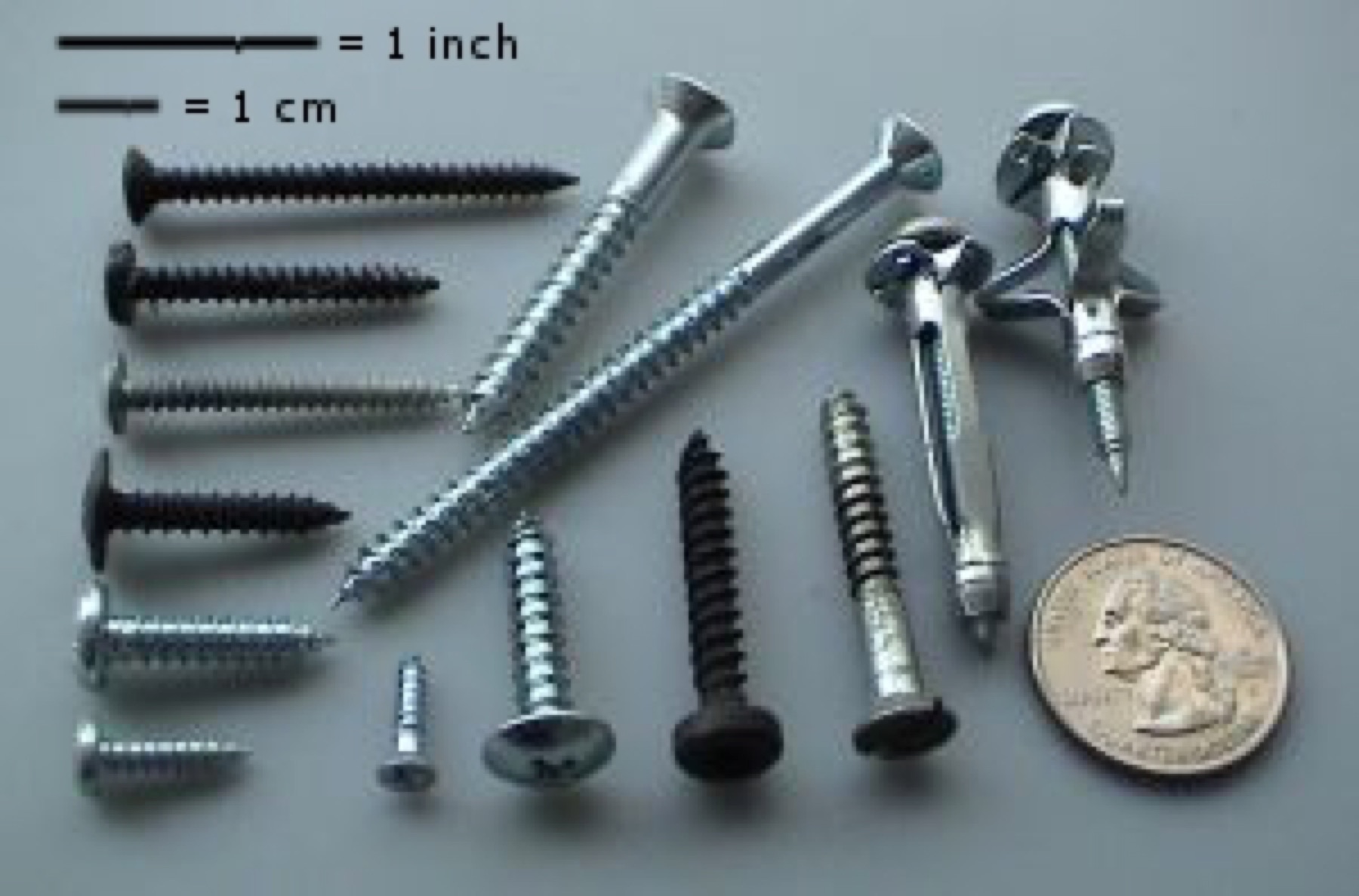 Assorted screws and bolts illustrating different sizes and head types