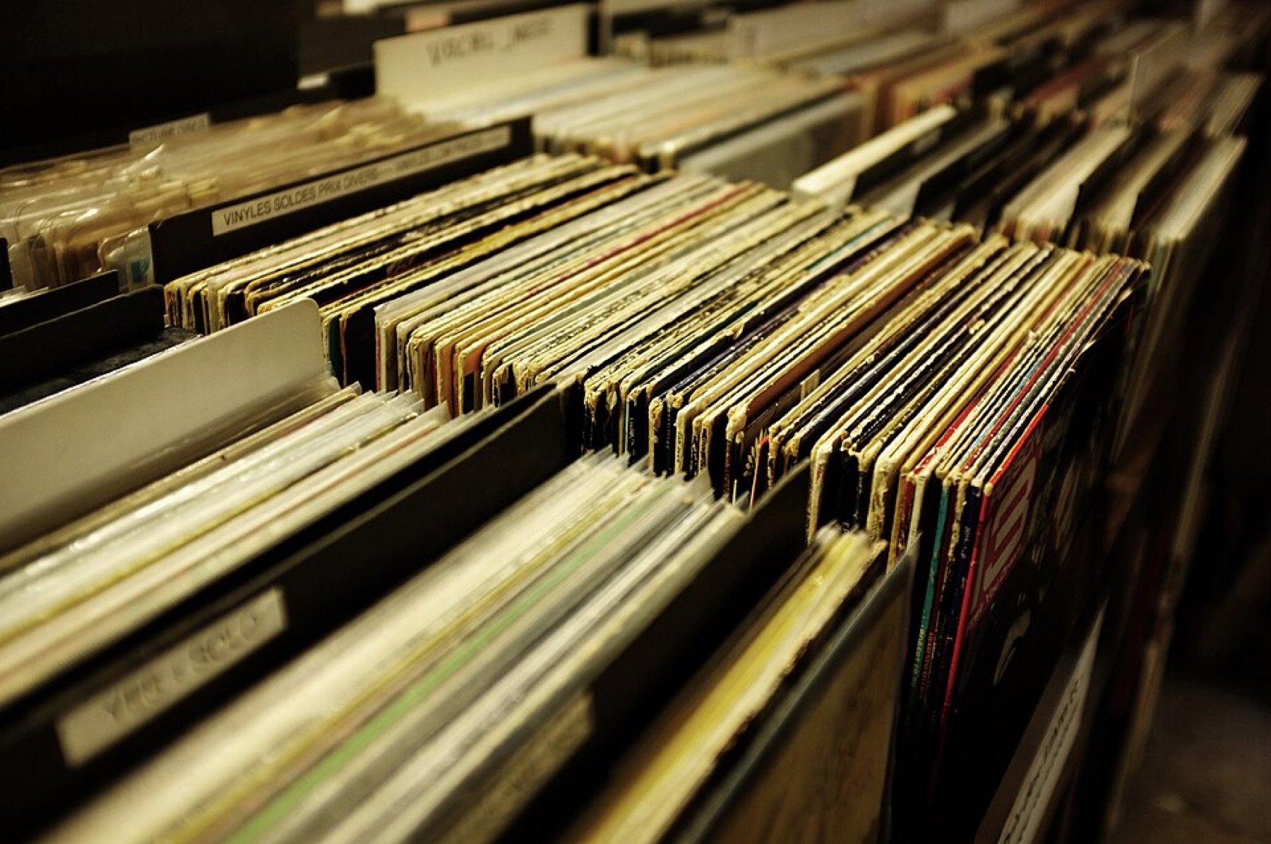 Vinyl records organized in bins at a record store