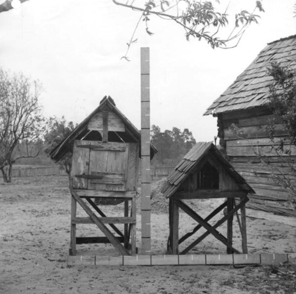 Row of traditional wooden chicken coops in a yard