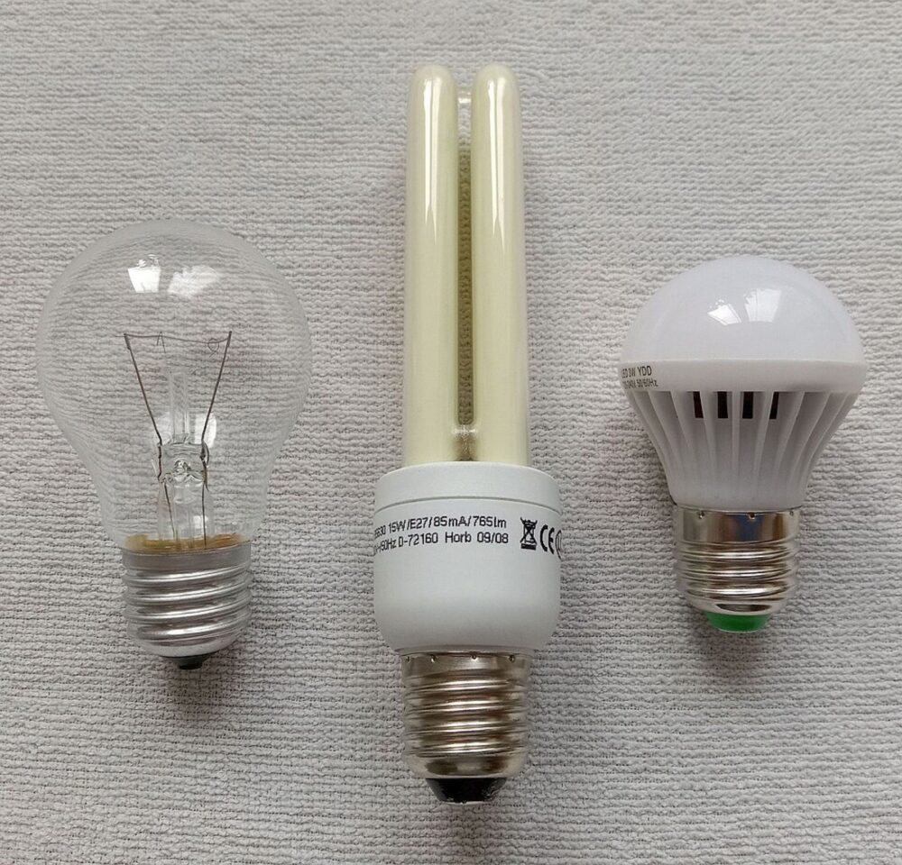 Assorted light bulbs illustrating different shapes and bases