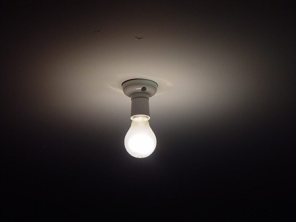 Assorted light bulbs illustrating different shapes and sizes