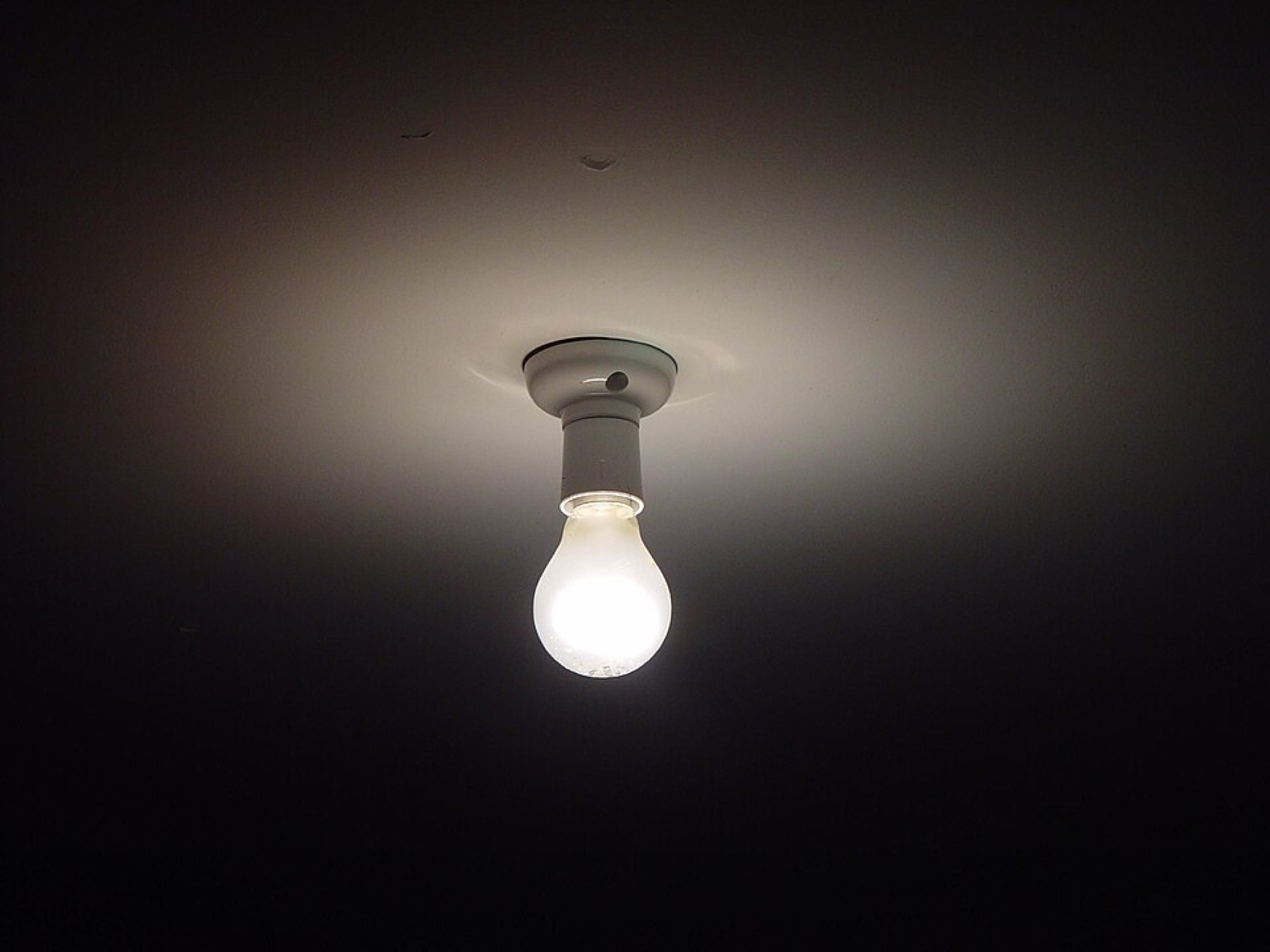 Assorted light bulbs illustrating different shapes and sizes