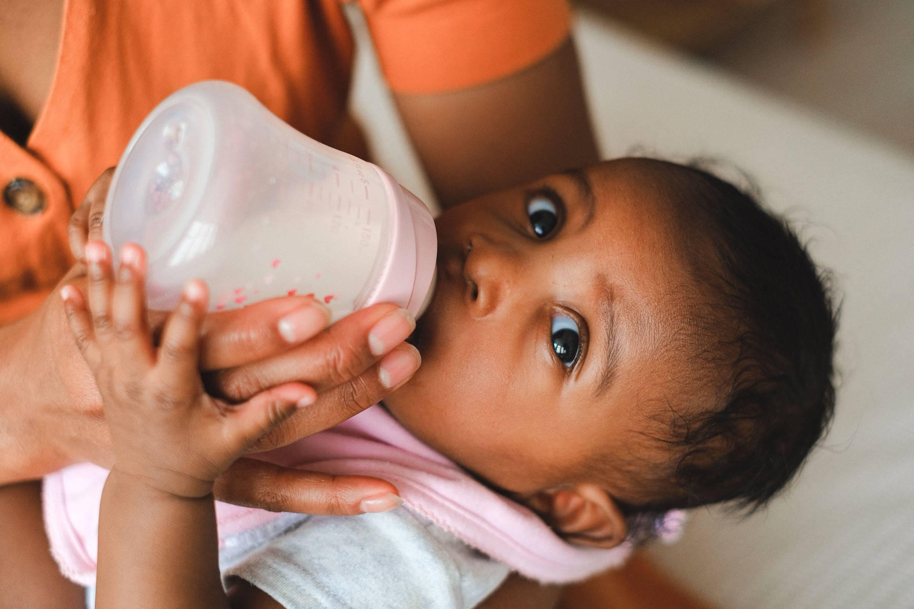 Online sourcing scene illustrating Evenflo baby bottles