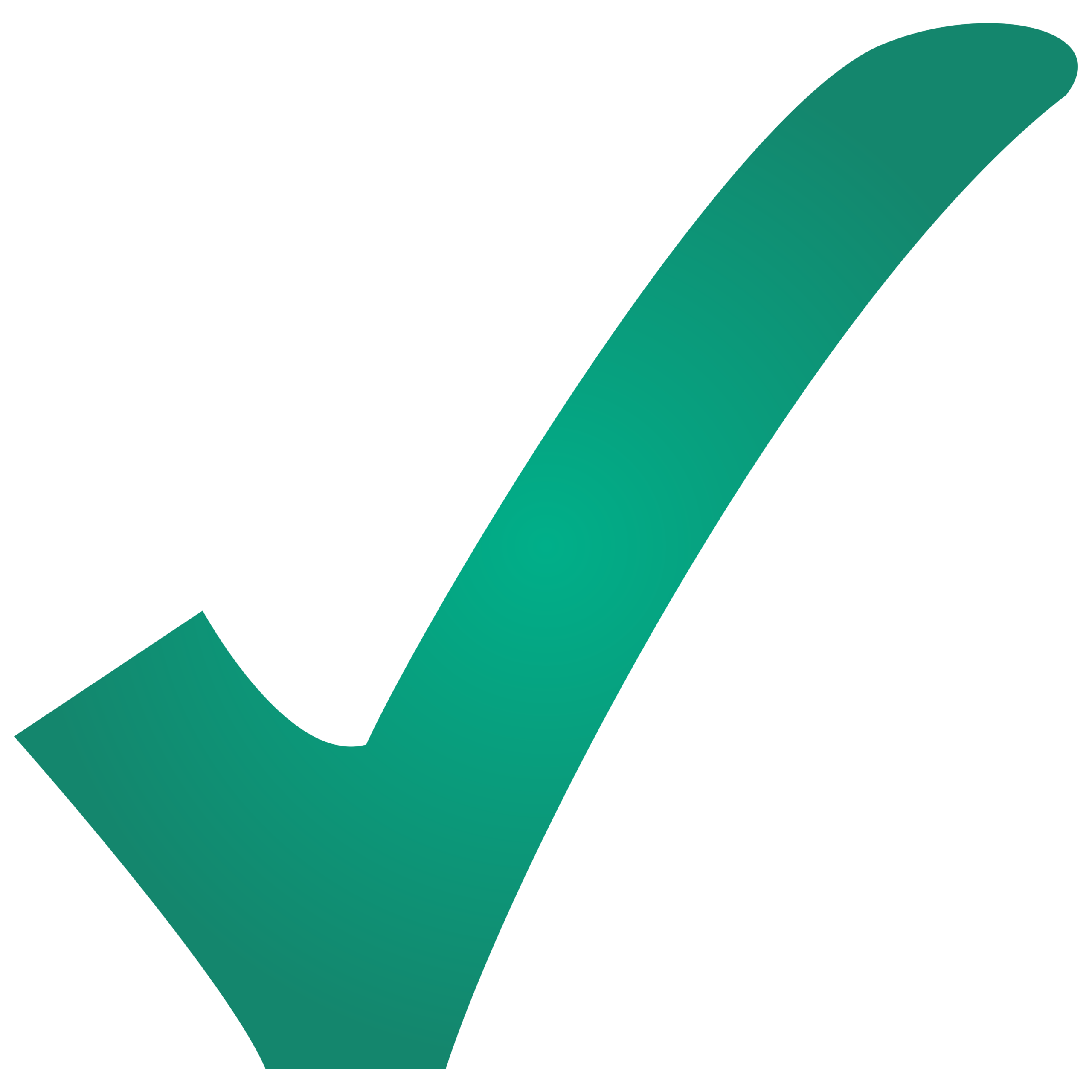 Green checkmark icon illustrating completed verification steps.