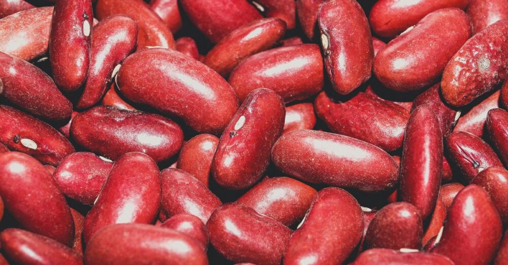 Online sourcing scene illustrating Red Snacks and Seed Suppliers