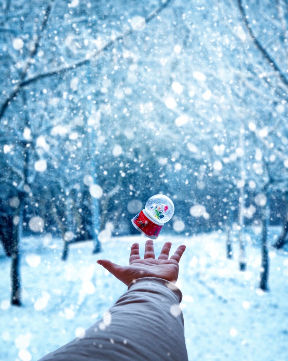 Online sourcing scene illustrating Unicorn Snow Globes