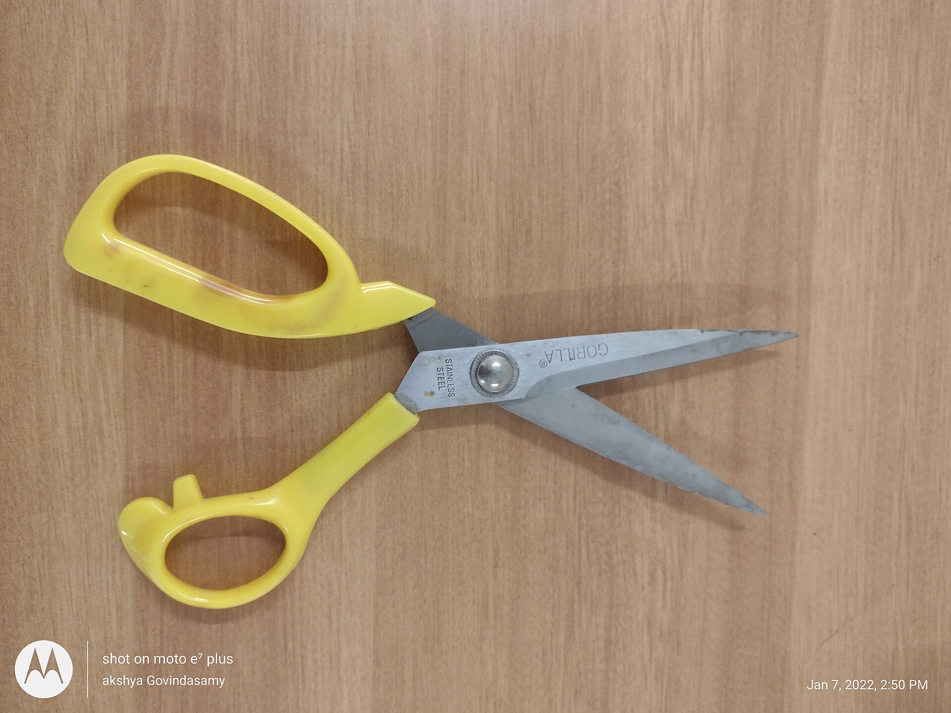 Assorted scissors suitable for bulk purchasing