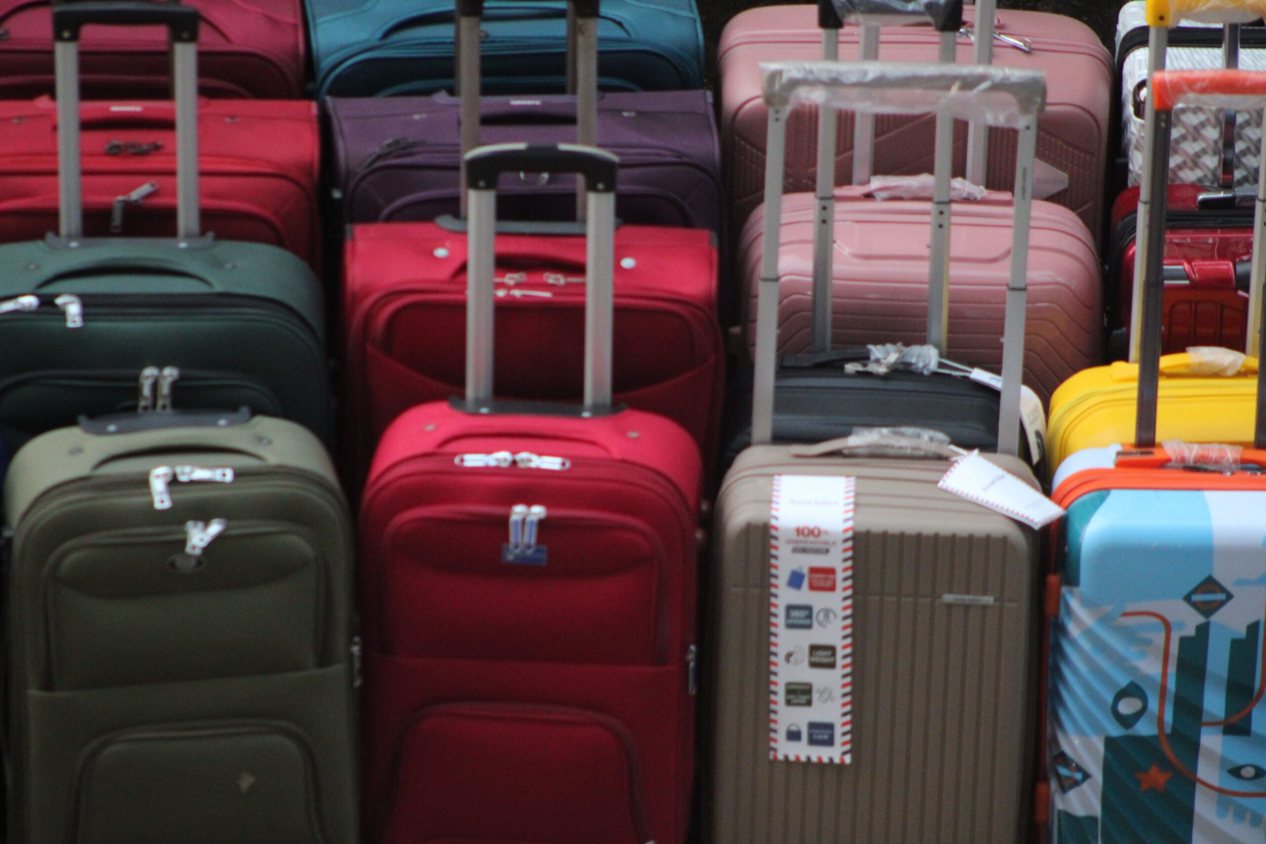 Rows of colorful wheeled suitcases with extended handles on display