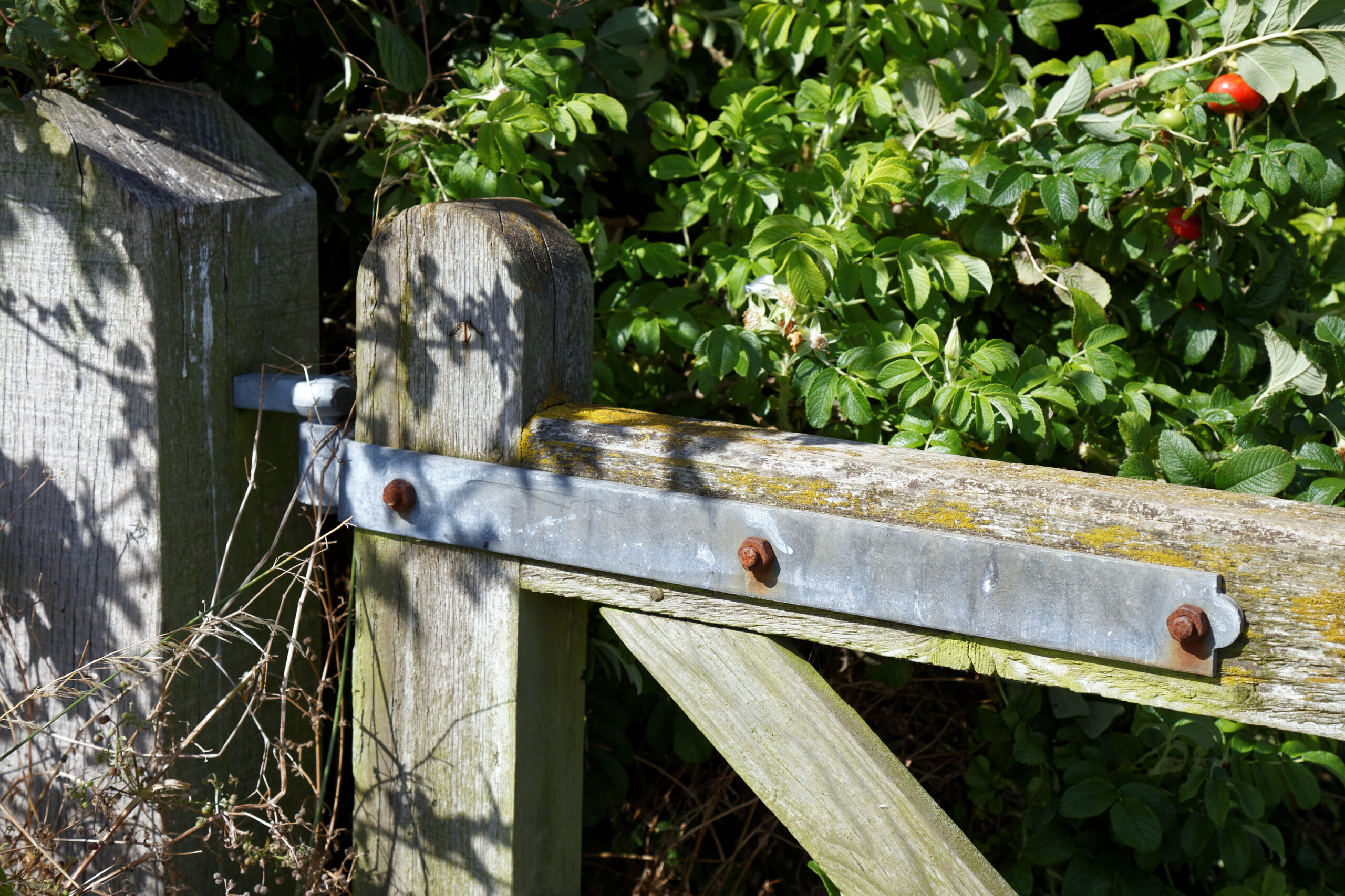 Close view of a metal gate hinge attached to a wooden gate post
