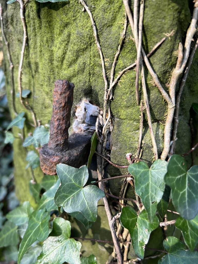 Close-up of a metal strap hinge mounted on a weathered wooden gate