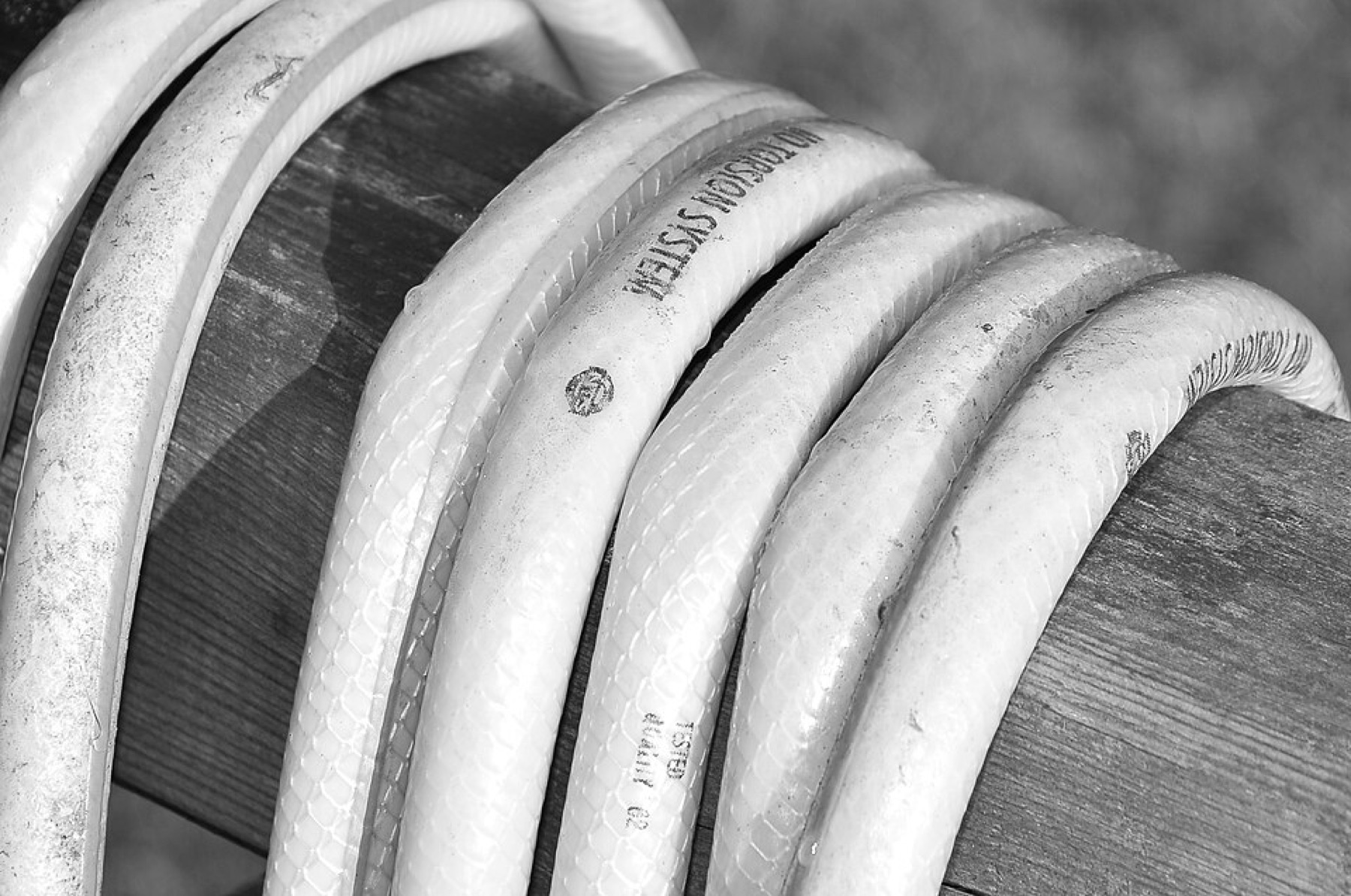 Close-up of a garden hose coiled on wooden boards