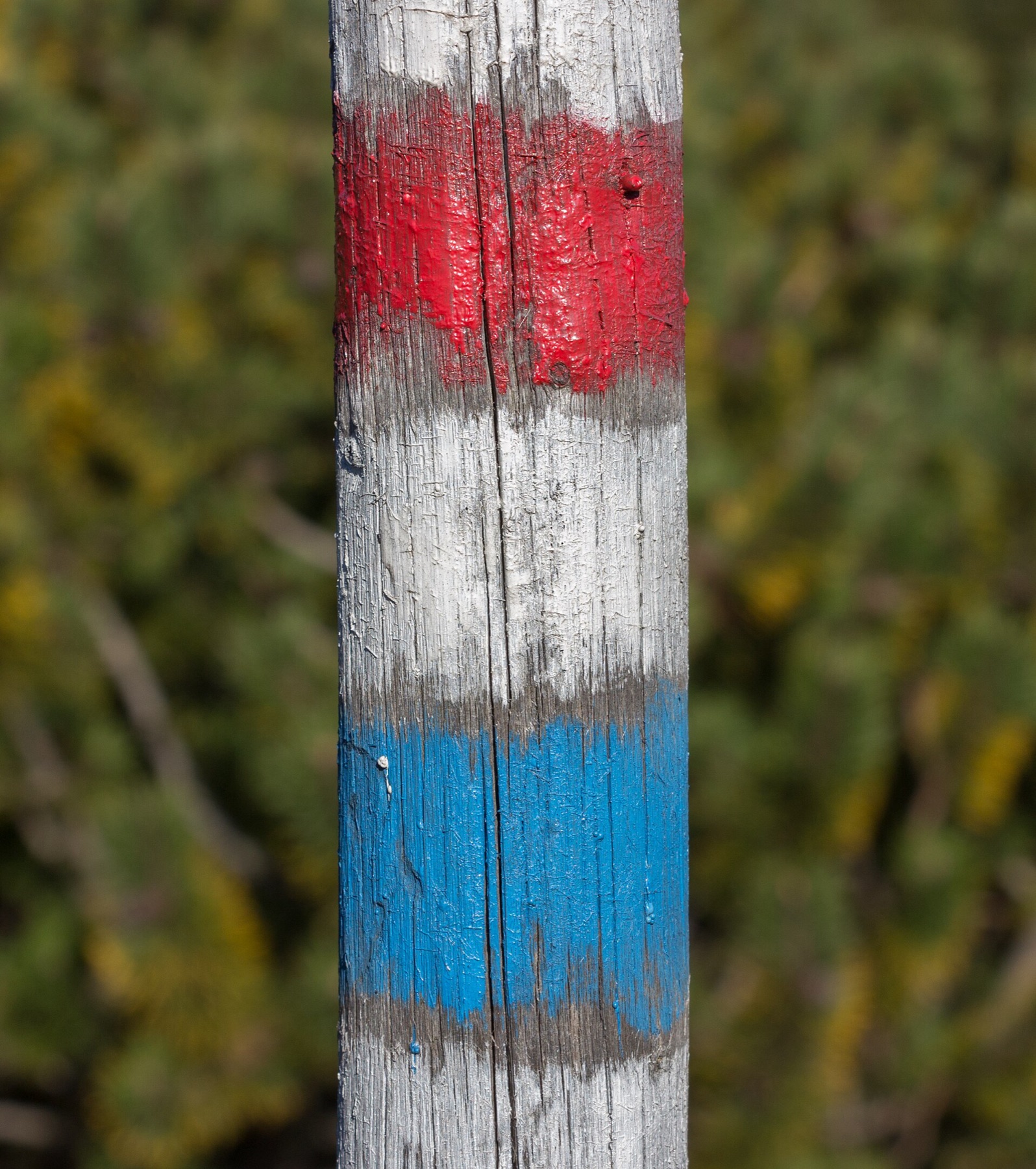 Example of outdoor wooden signs mounted on posts