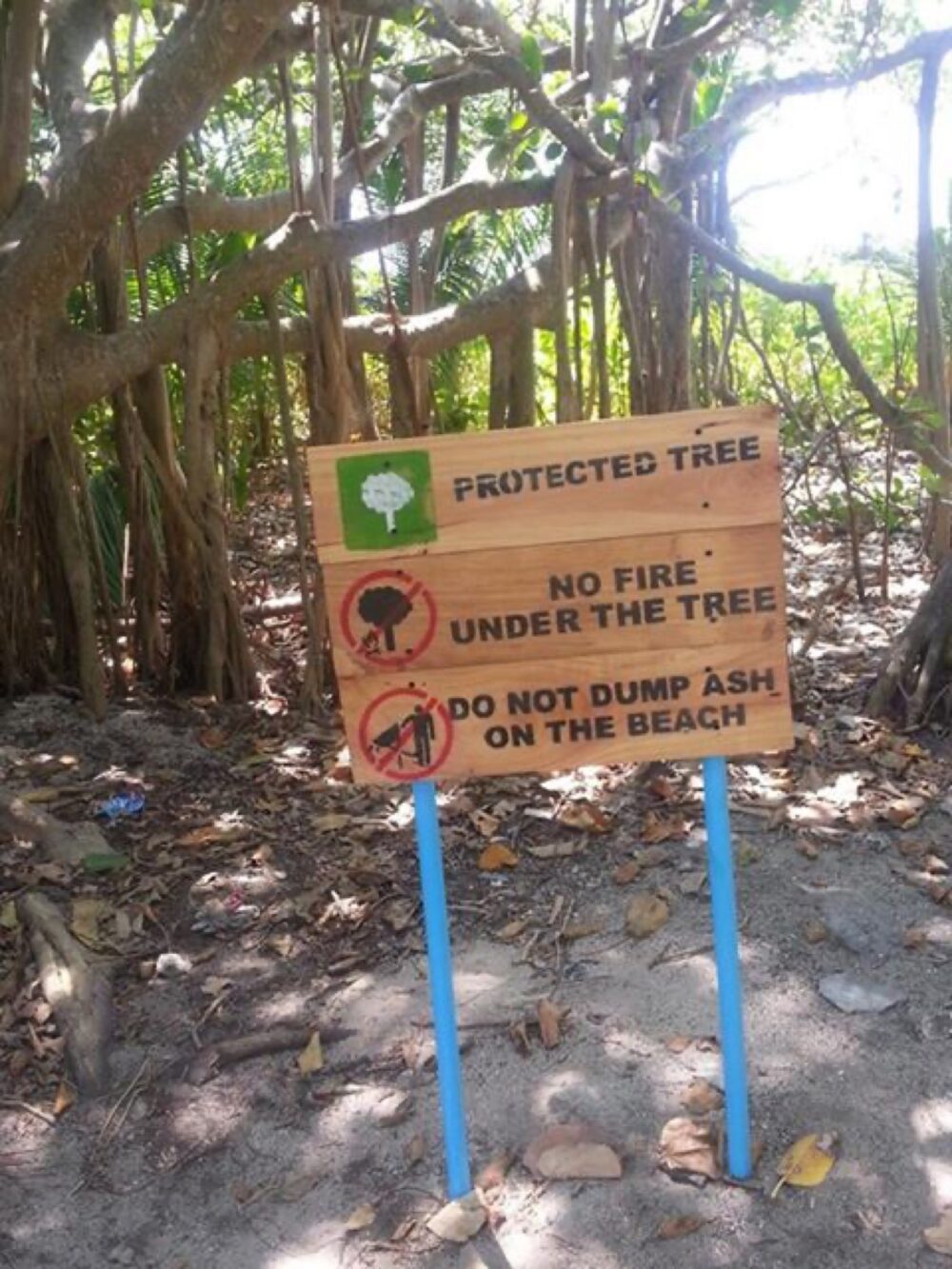 Assorted blank wooden sign boards suitable for customization