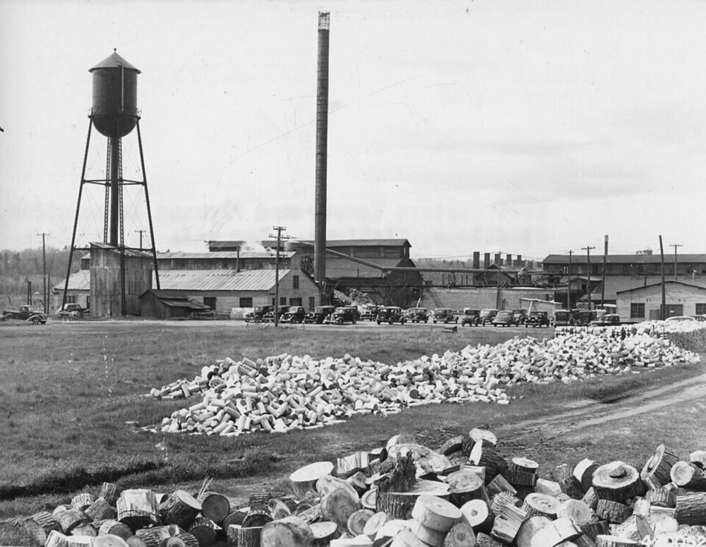 Historic North American veneer and plywood plant