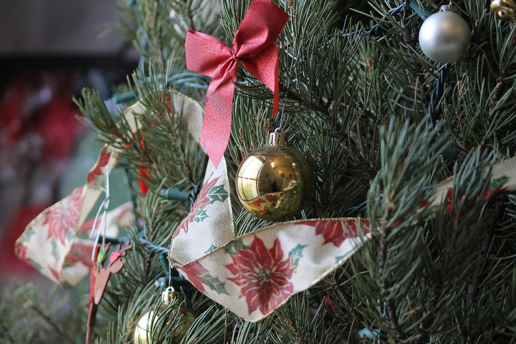 Close-up of a Christmas ornament hanging on a lit tree
