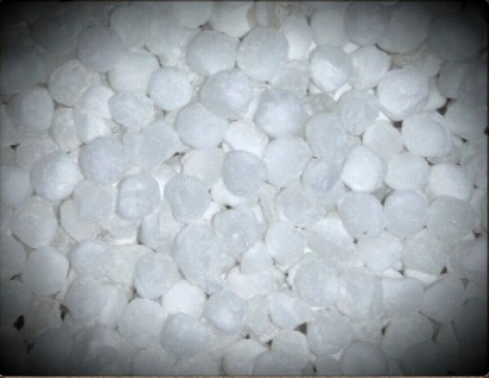 Close-up of white sago/sabudana pearls used in traditional dishes