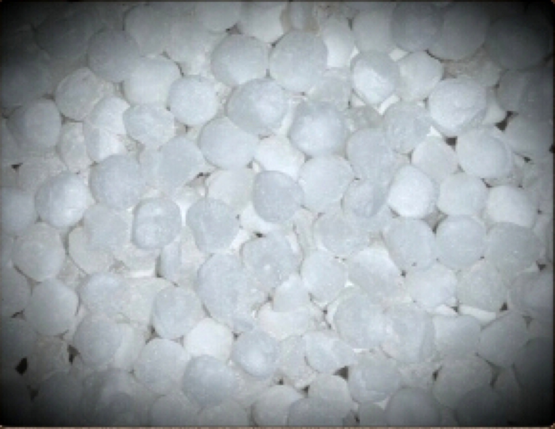 Close-up of white sago/sabudana pearls used in traditional dishes