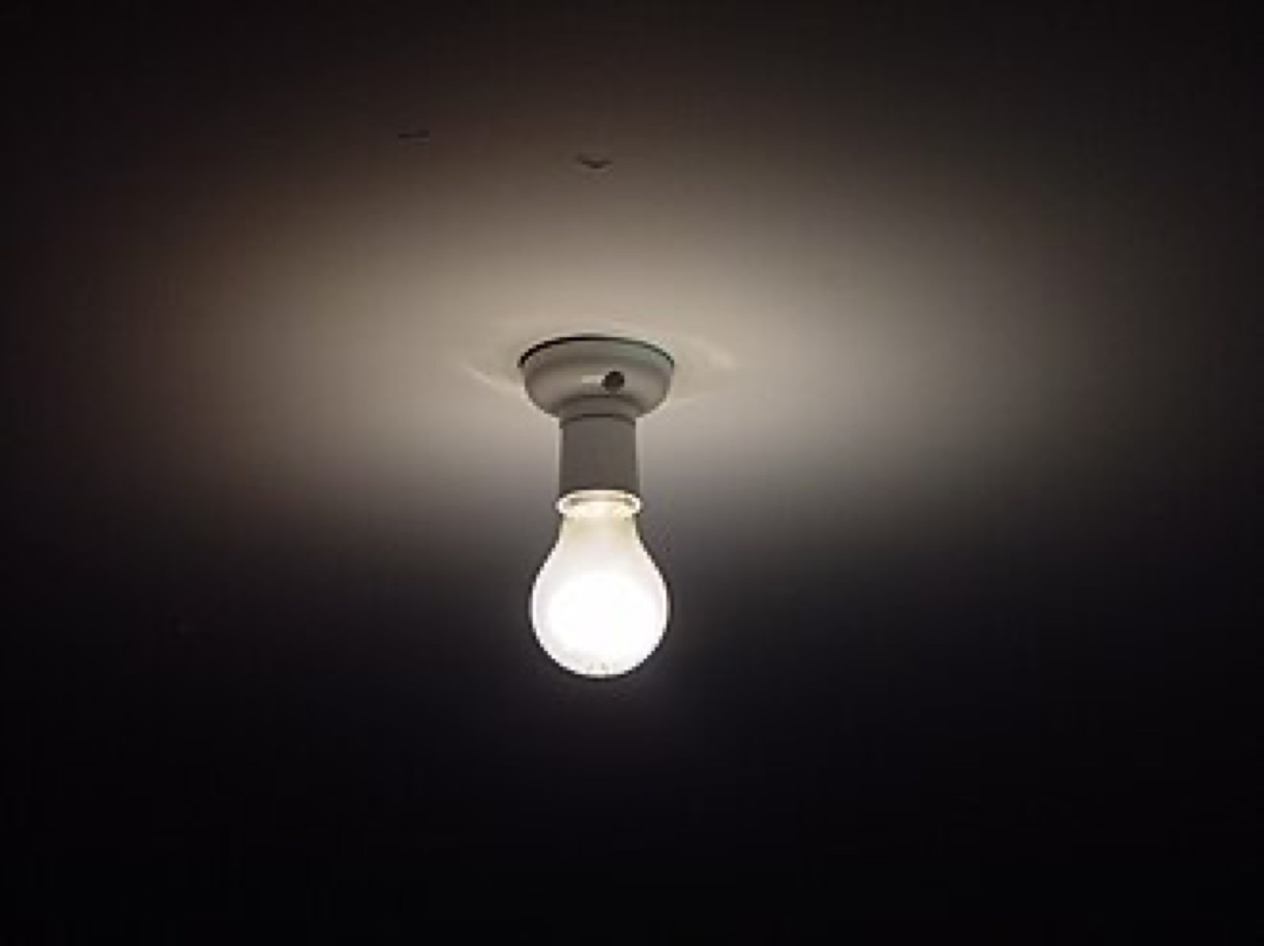 Clear glass light bulb on neutral background, illustrating the shape that light bulb jars imitate