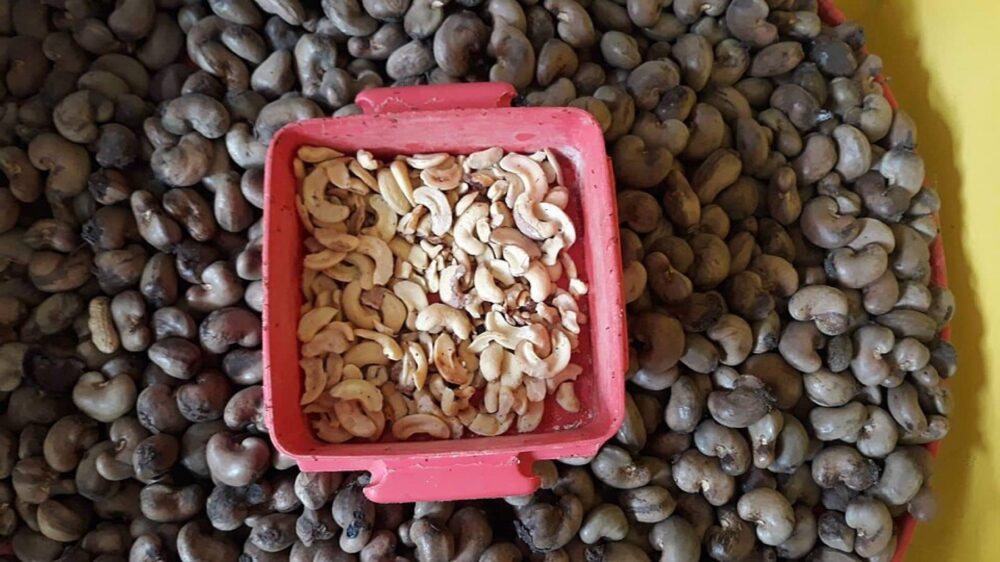 Packed cashew nuts as part of bulk snack options