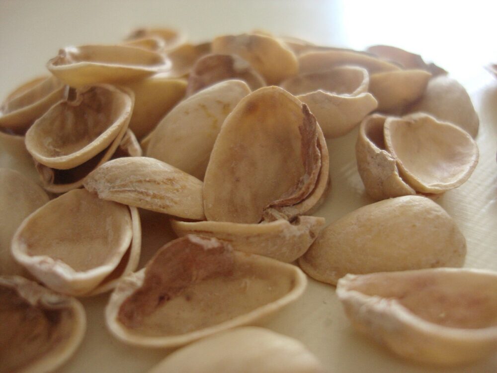 Loose pistachio shells suitable for craft projects