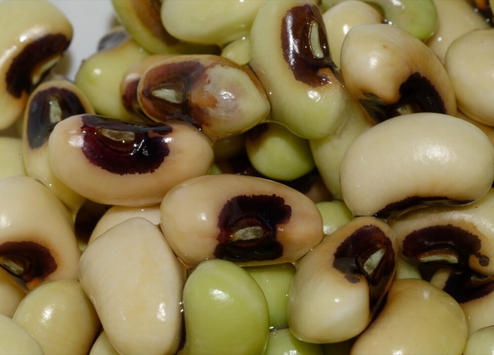 Close-up of dried black-eyed peas beans