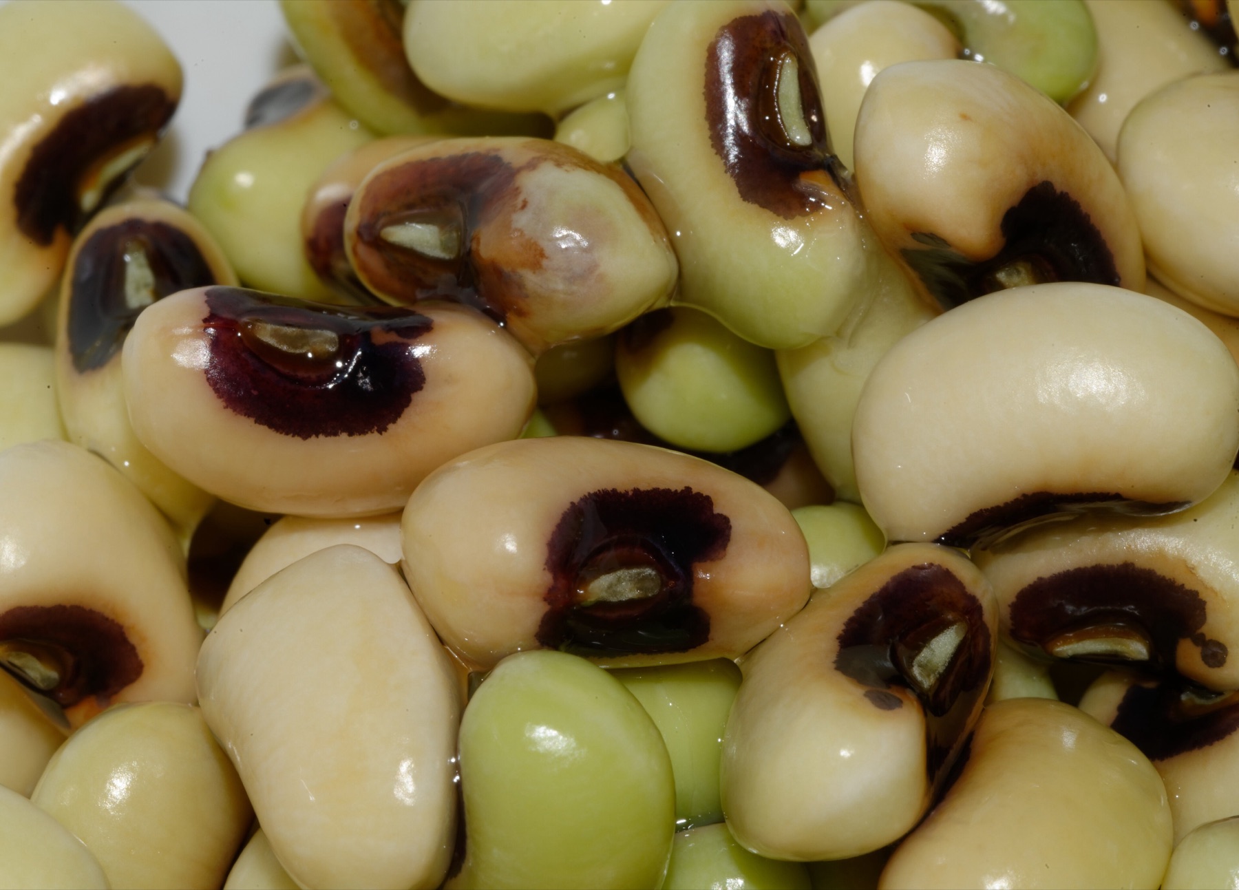 Close-up of dried black-eyed peas beans