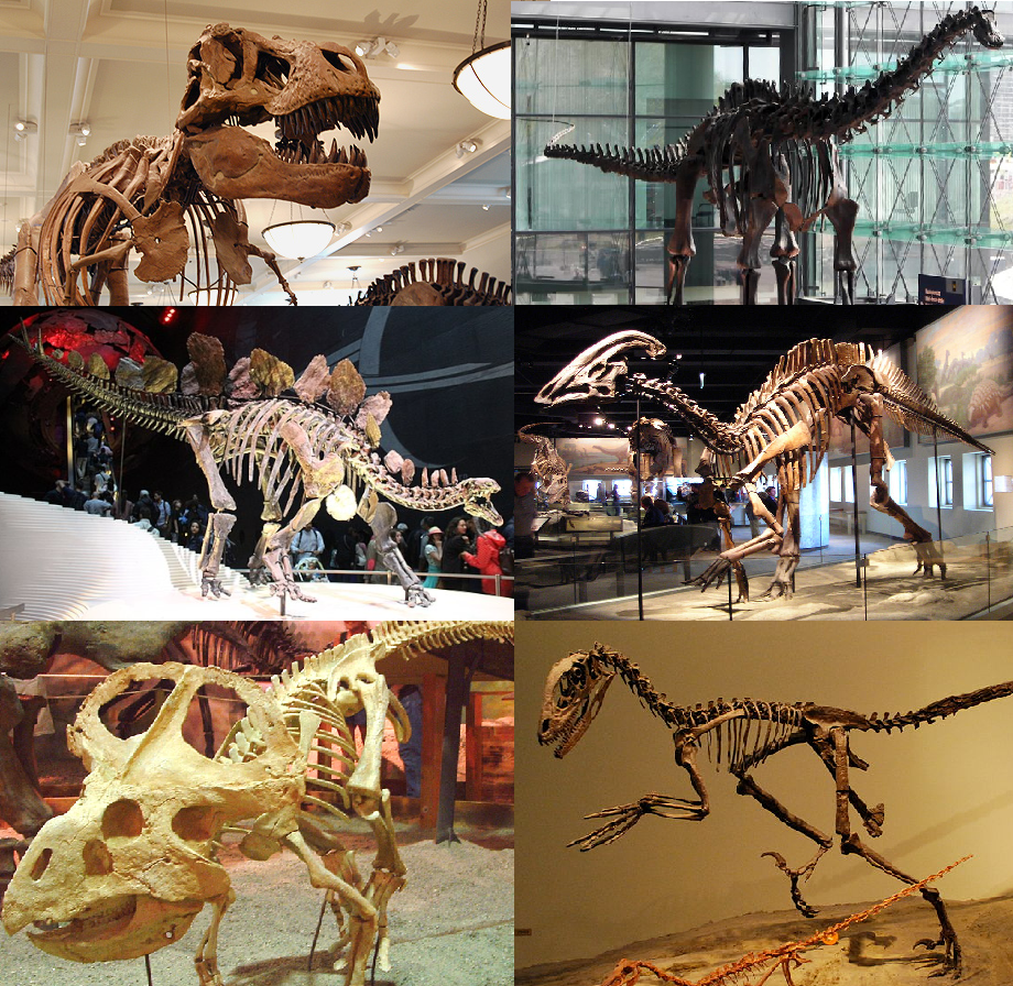 Stylised illustration of different dinosaur species, hinting at the variety of mask designs buyers can source across platforms.
