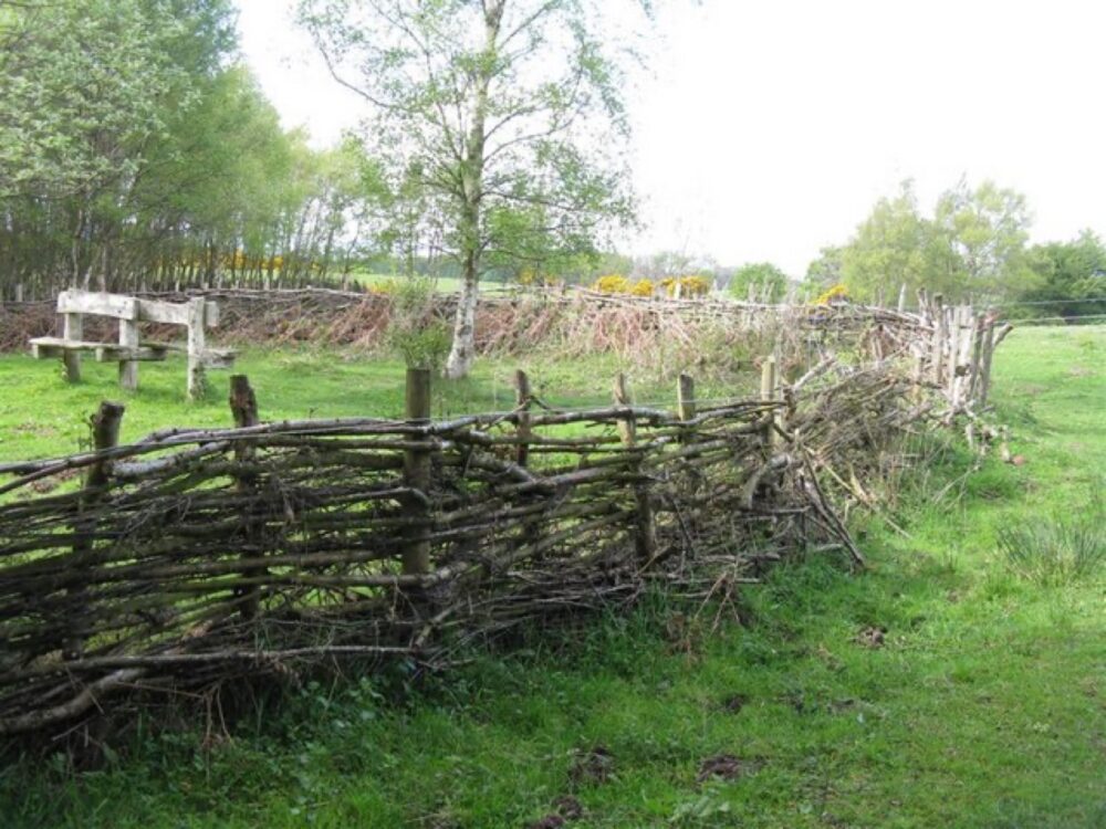 Rustic reclaimed timber used for seats and fencing in a UK woodland setting