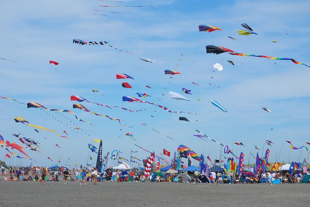 Bulk kites flying at a festival, showing variety and event-scale use