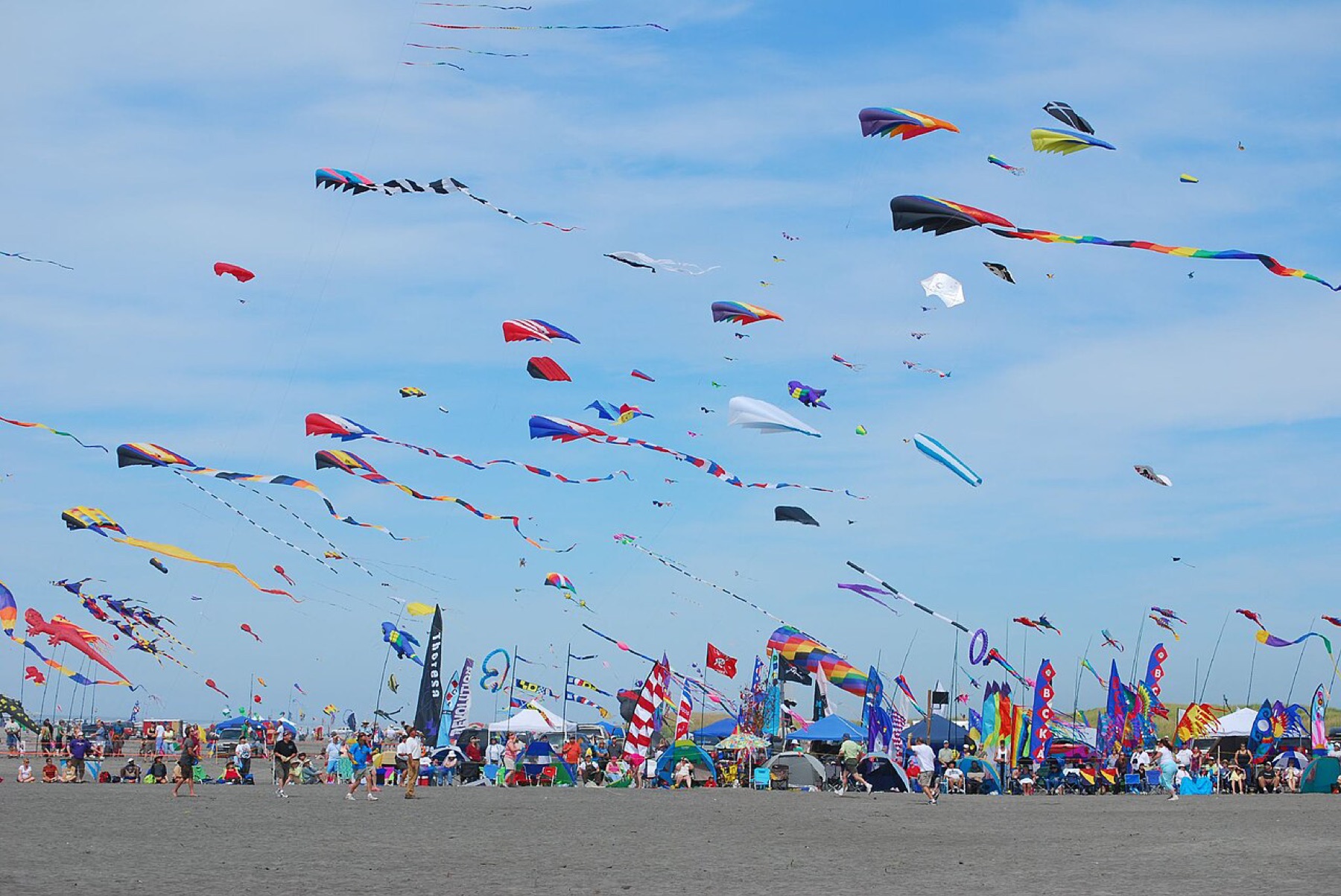 Bulk kites flying at a festival, showing variety and event-scale use