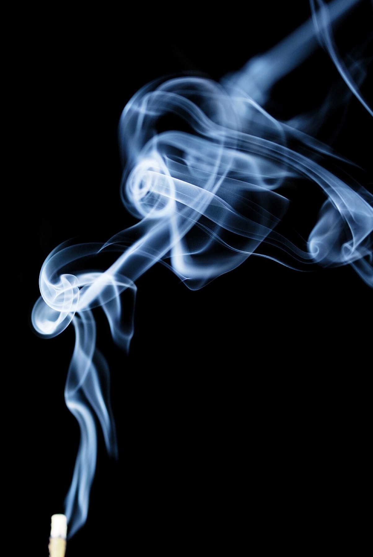 Bundles of incense sticks burning in a holder