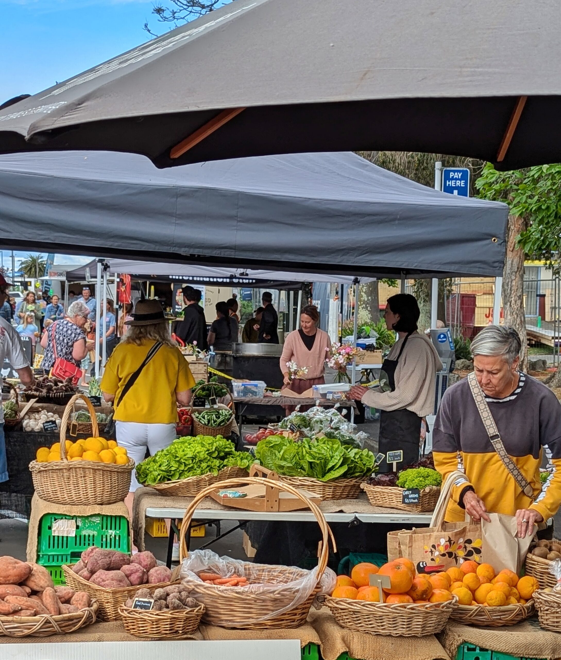 Open-air farmers market in Napier, New Zealand