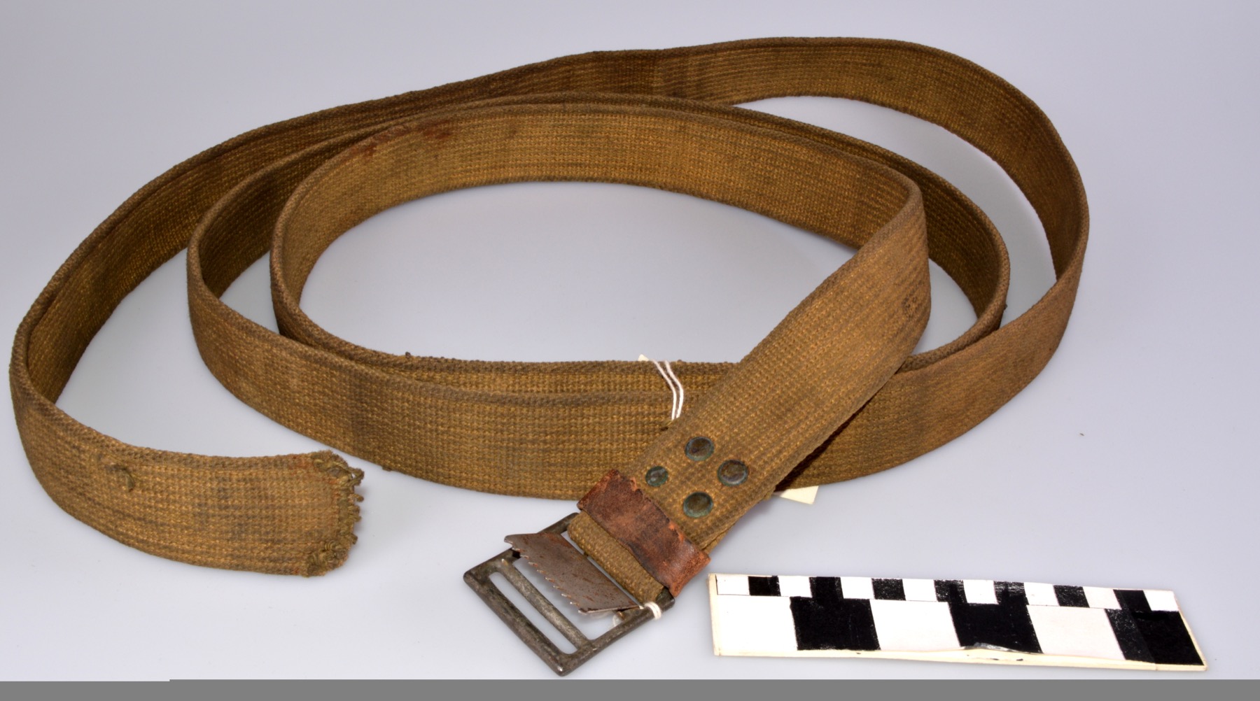 Canvas webbing strap showing the flat woven construction buyers should compare